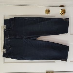 NYDJ Crop Jeans Silver Stud Adorned Size 14P